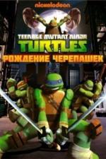 Черепашки-ниндзя (2012)