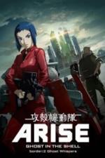 Призрак в доспехах у истоков: Грань 2 - Шёпот призрака (2013)