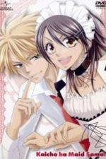 Президент — горничная! (2010)