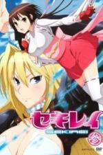 Сэкирэй (2008)