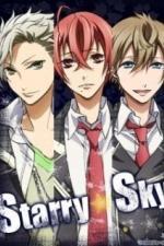 Звёздное небо (2010)