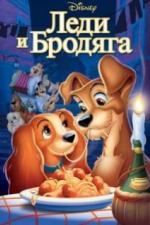 Леди и бродяга (1955)