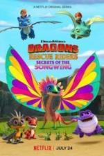 Драконы. Команда спасения: тайны Песнекрыла (2020)