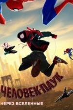 Человек-паук: Через вселенные (2018)