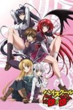 Высшая школа DxD (2012)