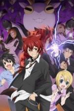 Детектив Инаба (2013)