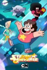 Вселенная Стивена (2013)