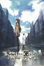 Врата Штейна: Дежавю (2013)