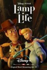 Жизнь лампы (2020)