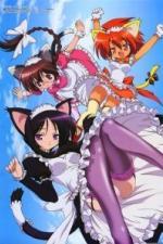 Академия магии