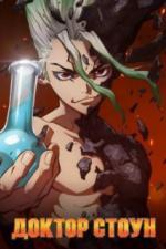 Доктор Стоун (2019)