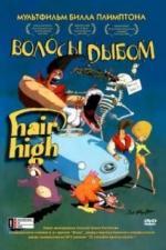 Волосы дыбом (2004)