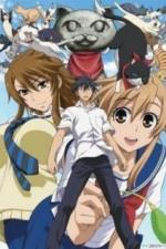 Кошачьи прихоти! (2009)