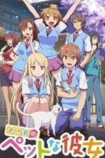 Кошечка из «Сакурасо» (2012)