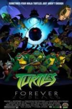 Черепашки навсегда (2009)