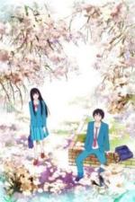 Достучаться до тебя (2009)