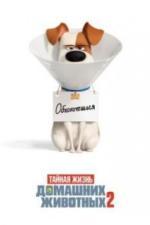 Тайная жизнь домашних животных 2 (2019)