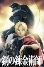 Стальной алхимик: Братство (2009)