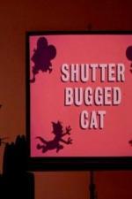 Кот скрытой камерой (1967)