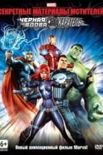 Секретные материалы Мстителей: Черная Вдова и Каратель (2014)